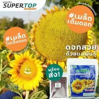 ราคา เมล็ดทานตะวัน ปลูกดอกใหญ่ ทำทุ่งทานตะวัน พันธุ์แปซิฟิกอะควอร่า 6 ของแท้ แบ่งขาย 50กรัม 100กรัม (11251172872)