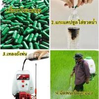 ราคา 300 บาท 50 เม็ด นาโน นาโนแคปซูล ส่งฟรี (9219629738)