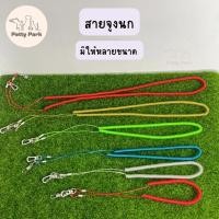 ราคา เชือกจูงนก เชือกกันนกหลุด สายจูงนก สามารถยืดได้ แข็งแรง ทนทาน อุปกรณ์นกแก้ว อุปกรณ์สัตว์เลี้ยง (19422728892)