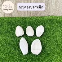 ราคา กระดองปลาหมึก ลิ้นทะเล อาหารนก อาหารนกแก้ว แคลเซียมนก วัสดุจากธรรมชาติ นกเลิฟเบิร์ด นกแก้ว นกหงส์หยก อุปกรณ์นกแก้ว (19722746450)