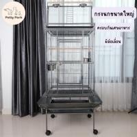 ราคา กรงนก กรงนกแก้ว กรงขนาดใหญ่ ด้านบนมีคอนนก เคลือบกันสนิม มีล้อเลื่อน พร้อมอุปกรณ์ เหมาะสำหรับนกทุกขนาด นกแอฟริกันเกรย์ (18322662142)