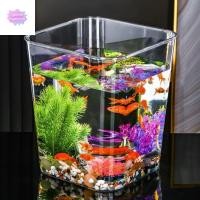 ราคา Gentlemanclub ตู้ปลาพลาสติก ตู้ปลาตั้งโต๊ะ PET โปร่งใส รูปไข่ที่ใช้งานได้จริง สี่เหลี่ยมป้องกันการตกตู้ปลาทรงกลม (24535401907)