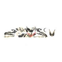 ราคา สติ๊กเกอร์ชุดสี3M ลายAdventure สำหรับ Yamaha PG 1 (26706849075)