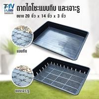 ราคา ถาดไดโซะแบบ ทึบ และ เจาะรู ถาดเพาะเมล็ด แยกกล้า ชำหน่อ กว้าง20x ยาว14xสูง3นิ้ว ถาดปลูกต้นไม้TMN Hubs (20168556355)