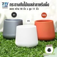 ราคา กระถางปลูกต้นไม้เบลล่า ลายรังผึ้ง พร้อมจานรอง จุกอุด กันน้ำรั่ว ขนาด 10 x 11 กระถางดอกไม้ กระถางต้นไม้พลาสติก ราคาถูก (18553391982)