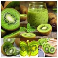 ราคา เมล็ดพันธุ์ กีวี่ Kiwi Seeds 300แคปซูลต่อแพ็ค ต้นผลไม้ เมล็ดพันธุ์ บอนไซจิ๋ว ต้นไม้ เมล็ดบอนสี ต้นไม้จิ๋ว ต้นบอนสี บอนไซ (13547370130)