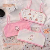 ราคา 3 แพ็ค Girls Training Bras สําหรับวัยรุ่นเด็กผ้าฝ้าย Camisole Undershirts เด็กวัยหัดเดินวัยรุ่นเสื้อแขนกุด (27889704424)