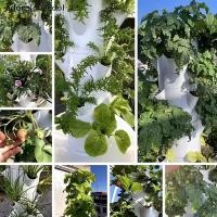 ราคา ADTH ระบบปลูกไฮโดรโปนิกส์ในร่มกลางแจ้งบ้านเติบโตสมุนไพรแนวตั้ง Garden Tower ปลูกผักหม้อชุด DIY Martijn (43111128972)