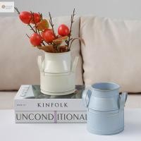 ราคา ปลาค็อด ส แจกันดอกไม้ถังเหล็กโลหะแจกันผู้ถือหัตถกรรมตกแต่งบ้านชุบสังกะสีเสร็จสิ้นระเบียงประเทศชนบทสก์ท็อปถังใหม่ (29725370584)