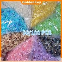 ราคา 50 100 ชิ้น เล็บปลอม กุหลาบใส น้ำแข็ง ผสม เครื่องประดับ ริบบิ้นคาเมลเลีย กลิตเตอร์ละเอียด พลอยเทียม ตกแต่งเล็บ อุปกรณ์ทำเล็บ ช้อป 9 แบบ GoldenKey (29237581667)