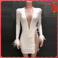 ราคา ชุดเดรส ผ้าตาข่าย ประดับขนนก สําหรับผู้หญิง (28083990859)