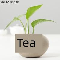 ราคา กระถางเซรามิคสำหรับปลูกไฮโดรโพนิกส์สไตล์ Zen ออกแบบคล้ายหินสีเขียว (24097362733)