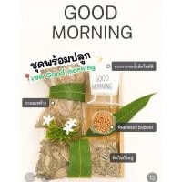ราคา ชุดพร้อมปลูกGoodmorning ปลูกต้นไม้รักษ์โลกและตัวเอง (40813833525)