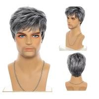 ราคา สังเคราะห์สั้นตรงวิกผมสีดําแฟชั่นสําหรับชายคอสเพลย์เครื่องแต่งกาย 6 นิ้วทนความร้อนวิกผมสําหรับชายทุกวันเงินสีเทา (29181378133)