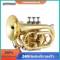 ราคา lade professional อุปกรณ์เสริมสําหรับทรัมเป็ต b bb เครื่องดนตรีพร้อมถุงมือแปรงทําความสะอาด (1867982814)