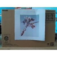 ราคา BANDAI METAL BUILD GUNDAM ASTRAY RED FRAME PROJECT ASTRAY สินค้าใหม่ ยังไม่แกะ ลิขสิทธิ์แท้ (26134233385)