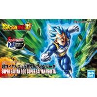 ราคา BANDAI FIGURE RISE STANDARD AMPLIFIED SUPER SAIYAN GOD SUPER SAIYAN VEGETA สินค้าใหม่ ของแท้ (24236078526)