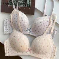 ราคา บราเสริมฟองน้ำ บราดันทรง บราเซ็กซี่ บราลูกไม้ บราไม่มีห่วงเหล็ก Push Up Wireless Bra (44050951876)