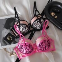 ราคา ชุดชั้นในพิมพ์ลายเสือดาวเซ็กซี่ของผู้หญิงหน้าอกเล็ก ดัน ขึ้น ชุดยกทรงสายกลวง (27721351575)