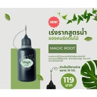 ราคา เร่งราก Magic ROOT แบบน้ำพร้อมใช้ คนรักต้นไม้ คนรักแคคตัส รากเยอะ รากแข็งแรง เร่งรากดีที่สุด (29631559287)