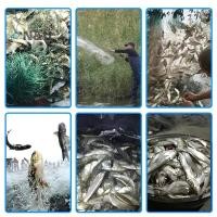 ราคา N U Float Trap ตาข่ายเดี่ยว สำหรับตกปลา ทำจากไนล่อนคุณภาพดี เครื่องมือเสริมตกปลามาตรฐาน (58000539291)