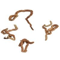 ราคา หนอนทรายแห้ง 6 10g สด เพื่อป้อนปลาดุก ใช้นatural bait fishing (51450582243)