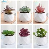 ราคา FAVOR Succulents บอนไซ กระบองเพชรพลาสติก Succulent ประดิษฐ์ มินิปลอมพืชเอเวอร์กรีนพืชบอนไซ Home (51900605991)