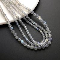 ราคา เครื่องประดับมูนสโตนสีเทาธรรมชาติ ลูกปัดสำหรับงานฝีมือ (27793114855)