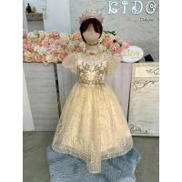 ราคา ชุดราตรีเด็ก หน้าร้านอยู่รัชดา ลองได้ถ่ายรูปจากชุดจริง W19152 สีทอง กระโปรงยาว แขนตุ๊กตา ประดับเกร็ดวิ้งๆ เล่นไฟค่ะ (43351904891)