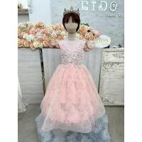 ราคา ชุดราตรีเด็ก ร้านอยู่รัชดา ลองได้ถ่ายรูปจากชุดจริง W19141 สีโอรส แขนสั้น กระโปรงยาว อกประดับลูกไม้ สวยหวาน (42901842711)