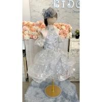ราคา ชุดราตรีเด็ก หน้าร้านอยู่รัชดา ลองได้ถ่ายรูปจากชุดจริง W18968 สีเงิน เปิดไหล่ แต่งคลิสตัล กระโปรงสั้น (28703942517)