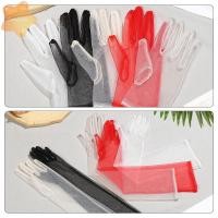 ราคา ถุงมือเจ้าสาววินเทจ สำหรับสวมใส่ในชุดแต่งงาน แบบบางเฉียบ (43175830414)