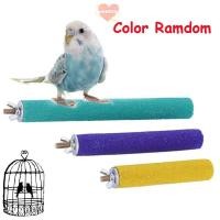 ราคา WETTO สีสุ่ม Parrot Perches Stand Chew ของเล่นอุปกรณ์สัตว์เลี้ยง Hot Grinding (54550813782)