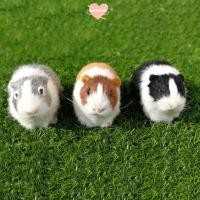 ราคา เวตโต ตุ๊กตาตุ๊กตาตุ๊กตา ตกแต่งบ้านหนูแฮมสเตอร์จําลองขนหนูตะเภา น่ารักนุ่มเหมือนจริงของเล่นตุ๊กตาเด็กของขวัญ (52750813685)