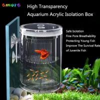 ราคา AMORA กล่องฟักไข่ลอย อะคริลิคใสกุ้ง Guppy ปลาลอยการเพาะพันธุ์ปลากล่องแยก ที่ถอดออกได้ Aquarium Breeder พลาสติกตาข่าย Fish Hatchery Incubator Breeder กล่อง (50800553589)