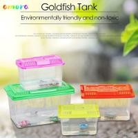 ราคา AMORA ถังปลาทอง Transparen Feeding ถังเต่าพลาสติก (47001068520)