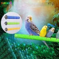 ราคา AMORA ไม้บดกรงเล็บนก อุปกรณ์กรงนกธรรมชาติกรงเล็บนกจะงอยปากบดบาร์ มัลติฟังก์ชั่ทนต่อการสึกหรอทนทานนกอุปกรณ์ยืนติด (43271952135)