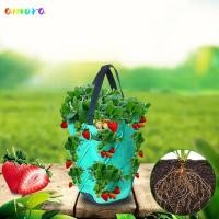 ราคา อาโมรา ปลูกถุงเนอสเซอรี่ 3แกลลอน10หลุมปลูกเติบโตถุงแขวน ที่เรียบง่ายระบายอากาศไม่ทอสตรอเบอร์รี่ปลูกกระเป๋าอุปกรณ์สวน (53200553650)