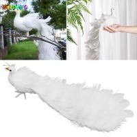 ราคา อาโมรา จําลองนกยูงสีขาว ตกแต่งต้นคริสต์มาสคริสต์มาสสีขาว อุปกรณ์งานเลี้ยง ของตกแต่งบ้าน จี้ขนนกจริงที่น่าสนใจ (42872087122)