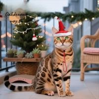 ราคา ตกลง ชุดสัตว์เลี้ยงหมวกซานต้า หมวกซานต้าคริสต์มาสแบบนุ่ม น่ารักสบายปรับสีสันสัตว์เลี้ยงหมวกซานต้าปาร์ตี้ปี (48151003534)