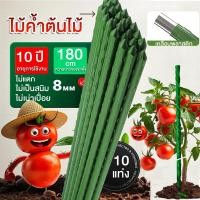 ราคา ไม้ค้ำต้นไม้ยาว60 180ซม วัสดุทำจากเหล็ก เคลือบพลาสติกสีเขียว PE กันน้ำ กันสนิม เสามะเขือเทศ ไม้ค้ำยันต้นไม้ เสาปลูกผั (29790575411)