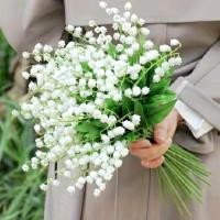 ราคา จําลองฤดูใบไม้ผลิหญ้าระฆังกล้วยไม้ อิน ช่อประดิษฐ์สดขนาดเล็ก สก์ท็อปแจกันพืชปลอมตกแต่ง อุปกรณ์ถ่ายภาพงานแต่งงาน สําหรับตกแต่งเทศกาล พรรค อ (26072988931)