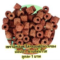 ราคา เซรามิคลิงค์แบบมีรู ใส่กรองตู้ปลา กรองบ่อปลา ช่วยให้น้ำใส (26362721512)