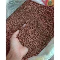 ราคา ดินเผา รองพื้นตู้ปลา ตู้กุ้ง ขนาด1kg (5946874292)