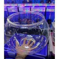 ราคา โหลพลาสติก เลี้ยงปลาสวยงาม ขนาด ปากกว้าง 8 นิ้ว ความสูง 11 5 นิ้ว (16297359667)