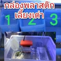 ราคา กล่องพลาสติก เลี้ยงเต่า สีฟ้า (11735858824)