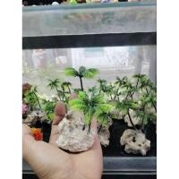 ราคา ต้นมะพร้าว ต้นไม้ปลอม ตกแต่งตู้ปลาสวยงาม (29773447922)
