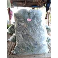 ราคา หญ้าไทเป สำหรับพื้นที่40ตร ม (14118771598)