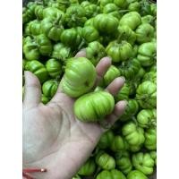 ราคา มะเขือขมสดจากสวน 1000กรัม (17599361085)