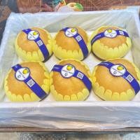 ราคา สาลี่หิมะ ตราเสือดุ กล่อง 6 ลูก กรอบ หวาน ผิวสวย พร้อมส่งมาก (58001299296)